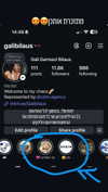 galibilaus Altpins Profile Picture