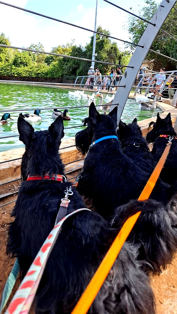 galkalomity galkalomity archive image