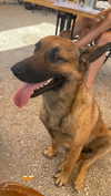 galsverchik1 Altpins Profile Picture