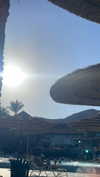 galsverchik1 Altpins Profile Picture