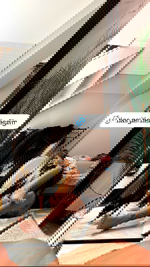 gamze.lucyy image ~ Altpins