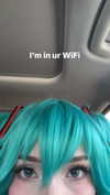 garden.variety.egirl Altpins Profile Picture