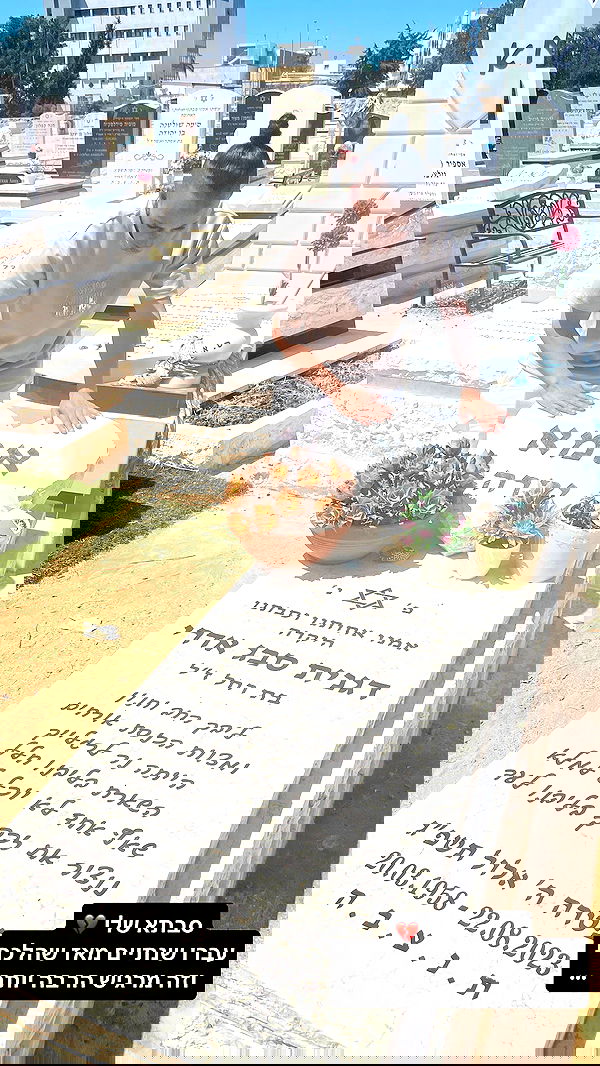 gaya__twizer gaya__twizer archive image