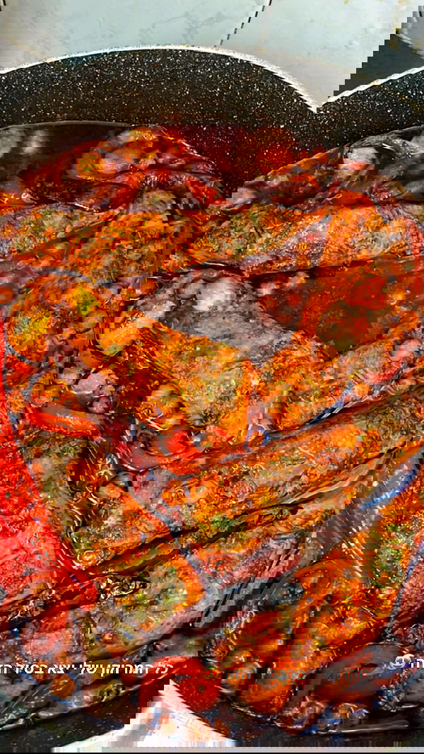 gaya__twizer gaya__twizer archive image