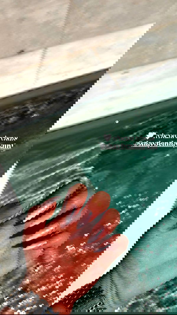 gaya__twizer gaya__twizer archive image