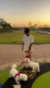 gayaedry_ Altpins Profile Picture