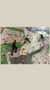 gayaedry_ Altpins Profile Picture