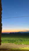 gayaedry_ Altpins Profile Picture
