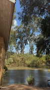 gayaedry_ Altpins Profile Picture