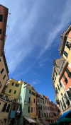 giadapaletto_ Altpins Profile Picture