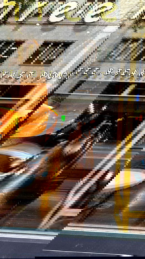 giangg._ giangg._ archive image