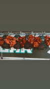 gigiryan14 Altpins Profile Picture