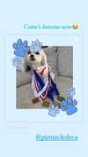gigiryan14 Altpins Profile Picture