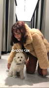 giteltm Altpins Profile Picture
