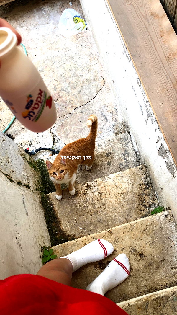 giteltm instagram image archive image