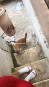 giteltm Altpins Profile Picture