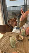 giteltm Altpins Profile Picture