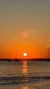 giulia.monico Altpins Profile Picture