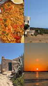 giulia.monico Altpins Profile Picture