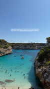 giulia.monico Altpins Profile Picture