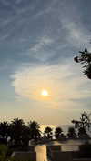 giulia.monico Altpins Profile Picture