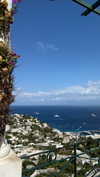 giulia.monico Altpins Profile Picture