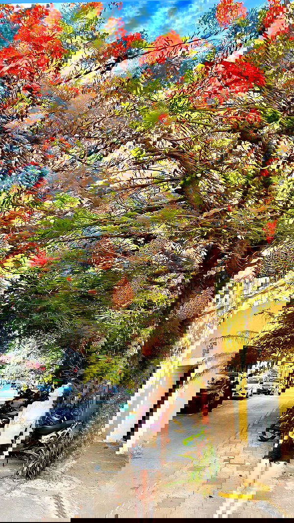 giuliahere giuliahere archive image