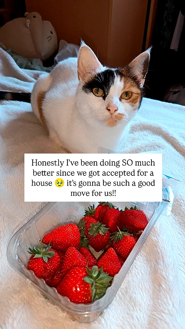 goddessoffxck2 instagram image archive image