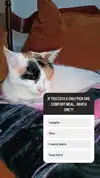 goddessoffxck2 Altpins Profile Picture