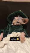 goth_lena Altpins Profile Picture