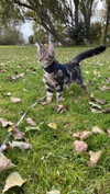 graciebwest Altpins Profile Picture
