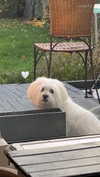 graciebwest Altpins Profile Picture