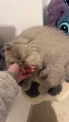 graciebwest Altpins Profile Picture