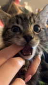 graciebwest Altpins Profile Picture
