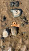 graciebwest Altpins Profile Picture