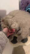 graciebwest Altpins Profile Picture