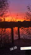 greta.m_ Altpins Profile Picture