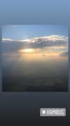 greta.m_ Altpins Profile Picture