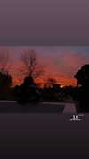 greta.m_ Altpins Profile Picture
