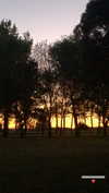 greta.m_ Altpins Profile Picture