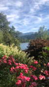 greta.m_ Altpins Profile Picture