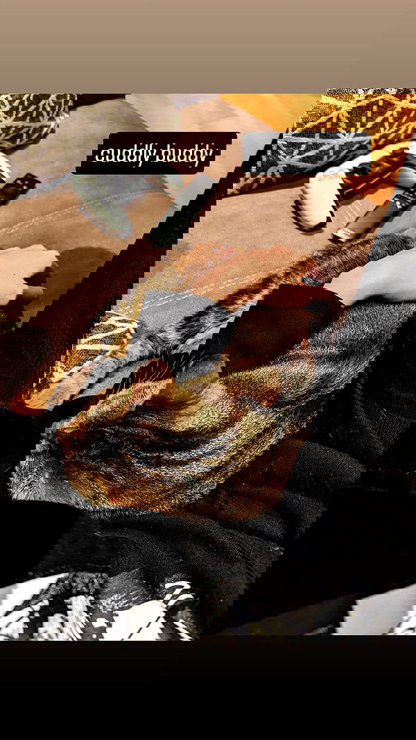 gumihohannya image ~ Altpins