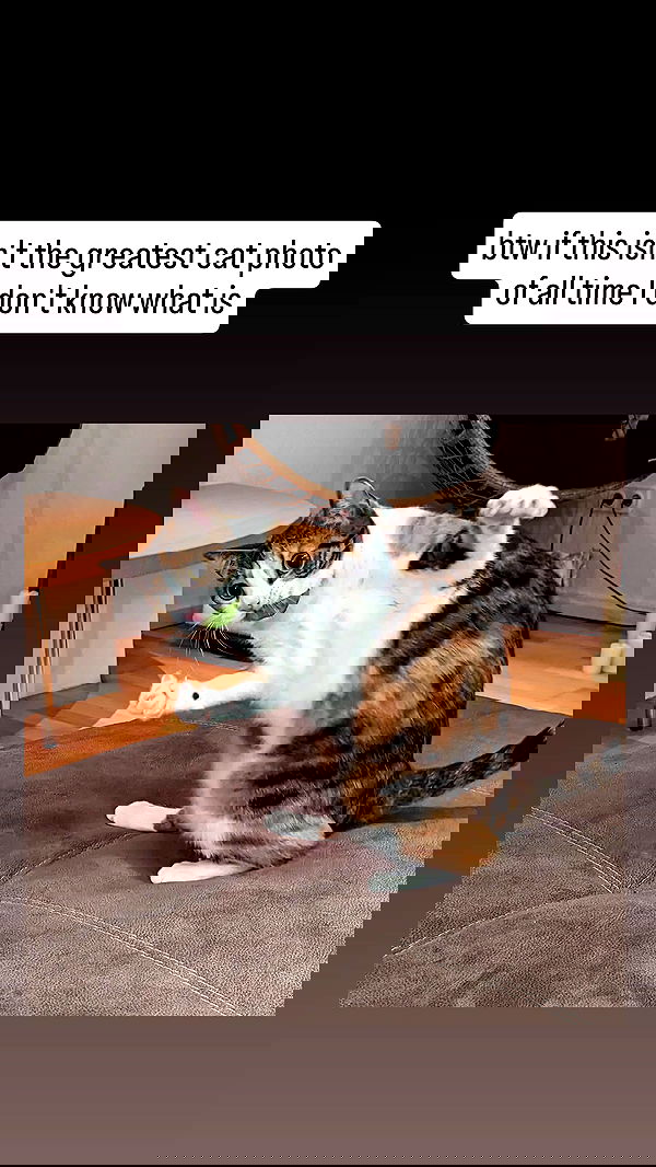 gumihohannya image ~ Altpins