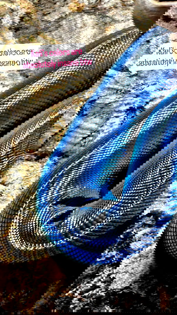 gumihohannya image ~ Altpins