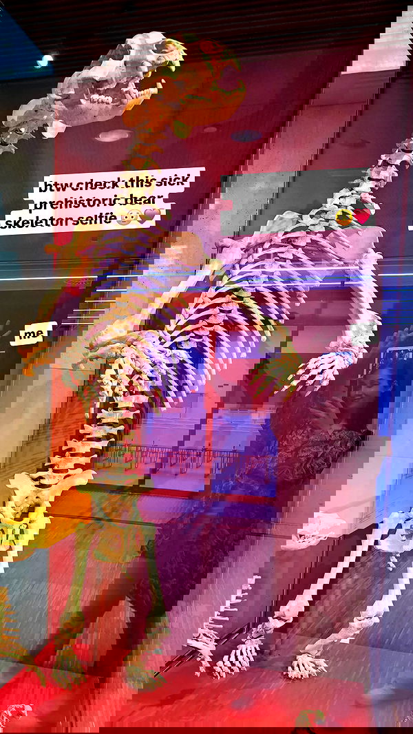 gumihohannya image ~ Altpins