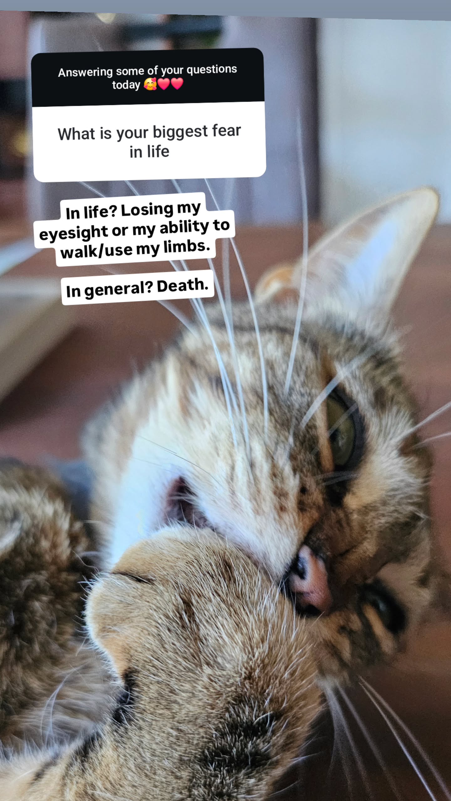 gumihohannya instagram image archive image