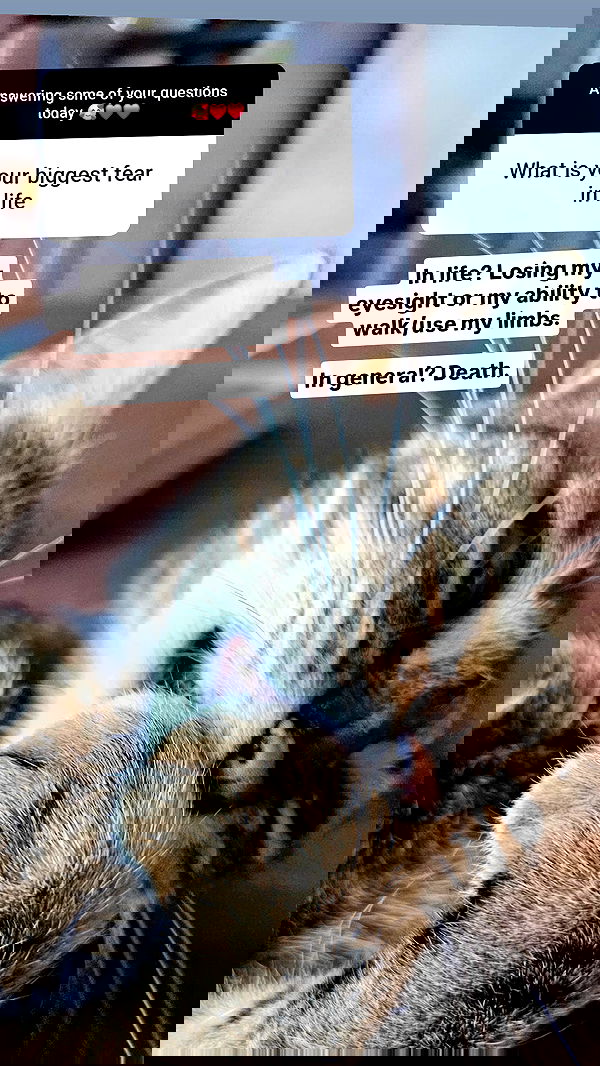 gumihohannya image ~ Altpins