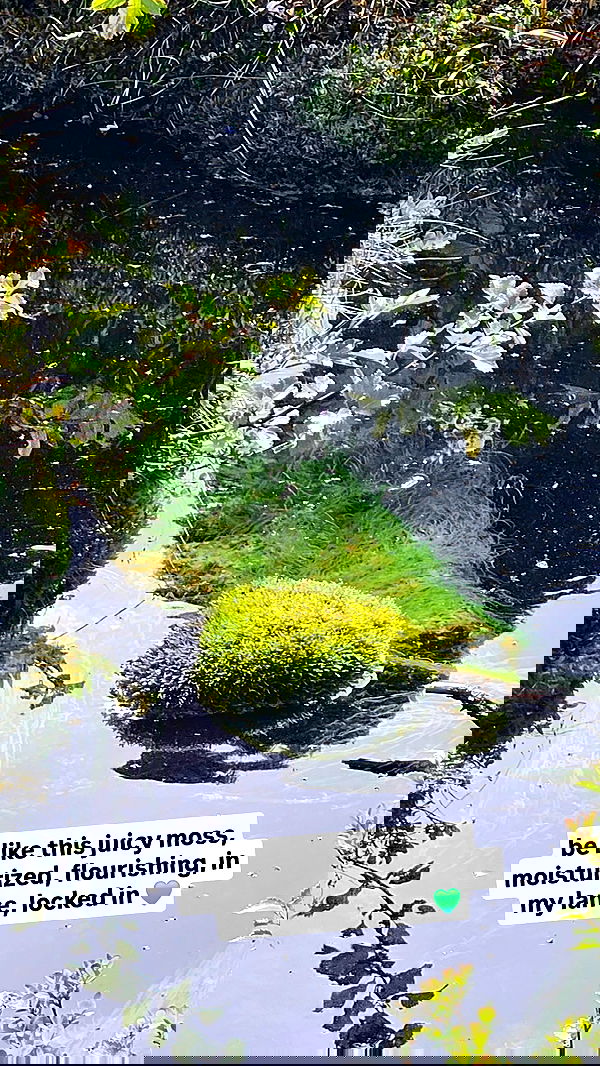 gumihohannya image ~ Altpins