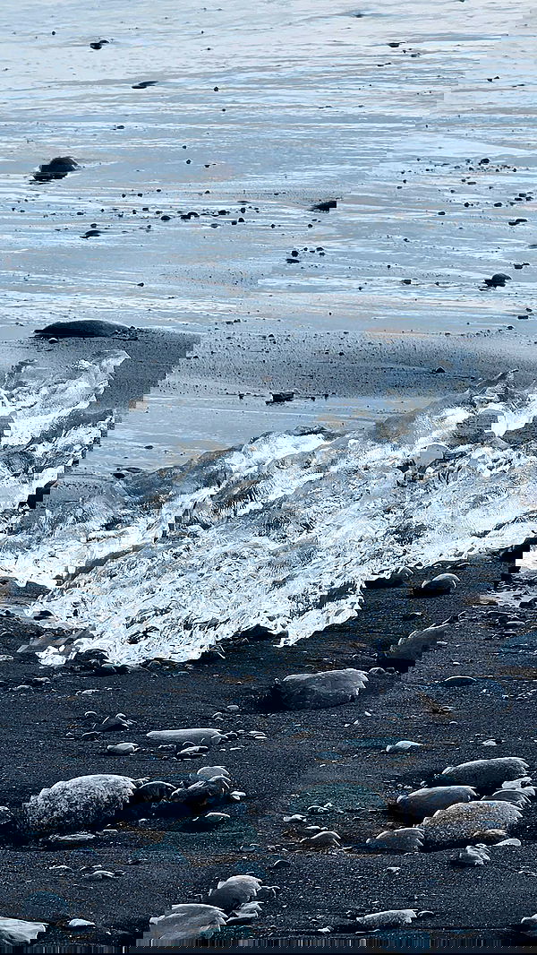 gumihohannya image ~ Altpins