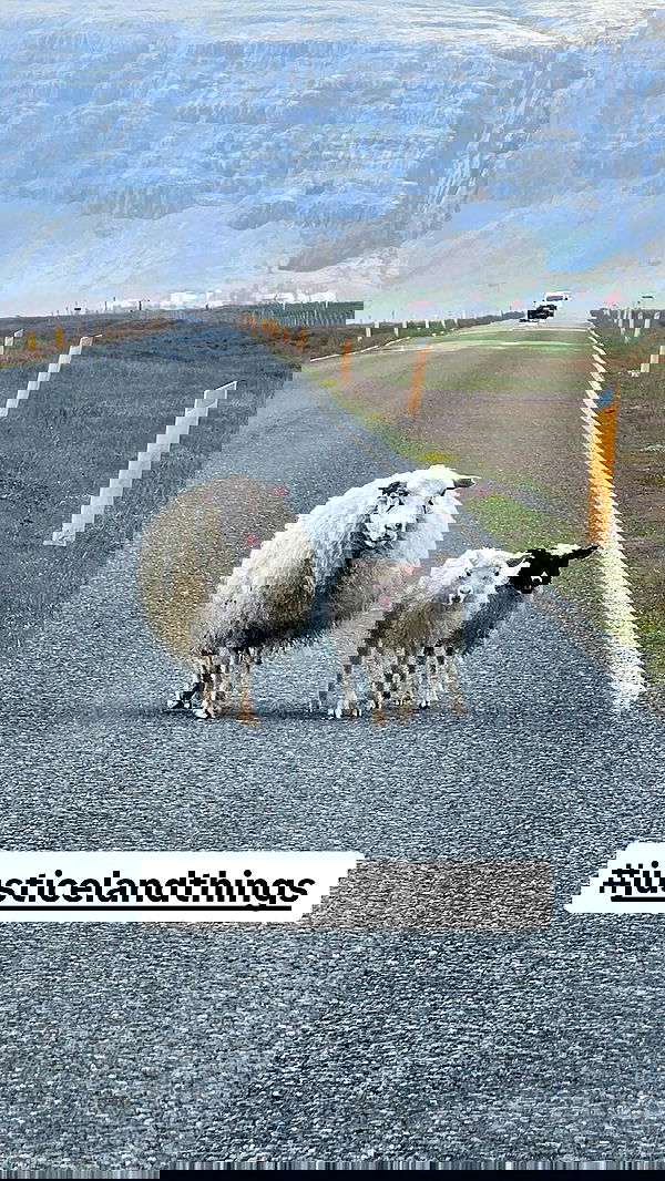 gumihohannya image ~ Altpins